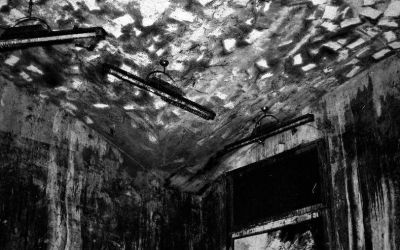 L’impronta dei libri sul soffitto