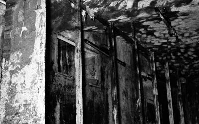 L’impronta dei libri sul soffitto