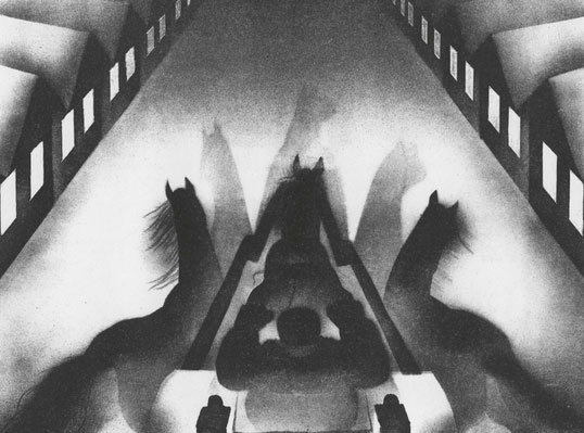 Elias Canetti: contro la morte