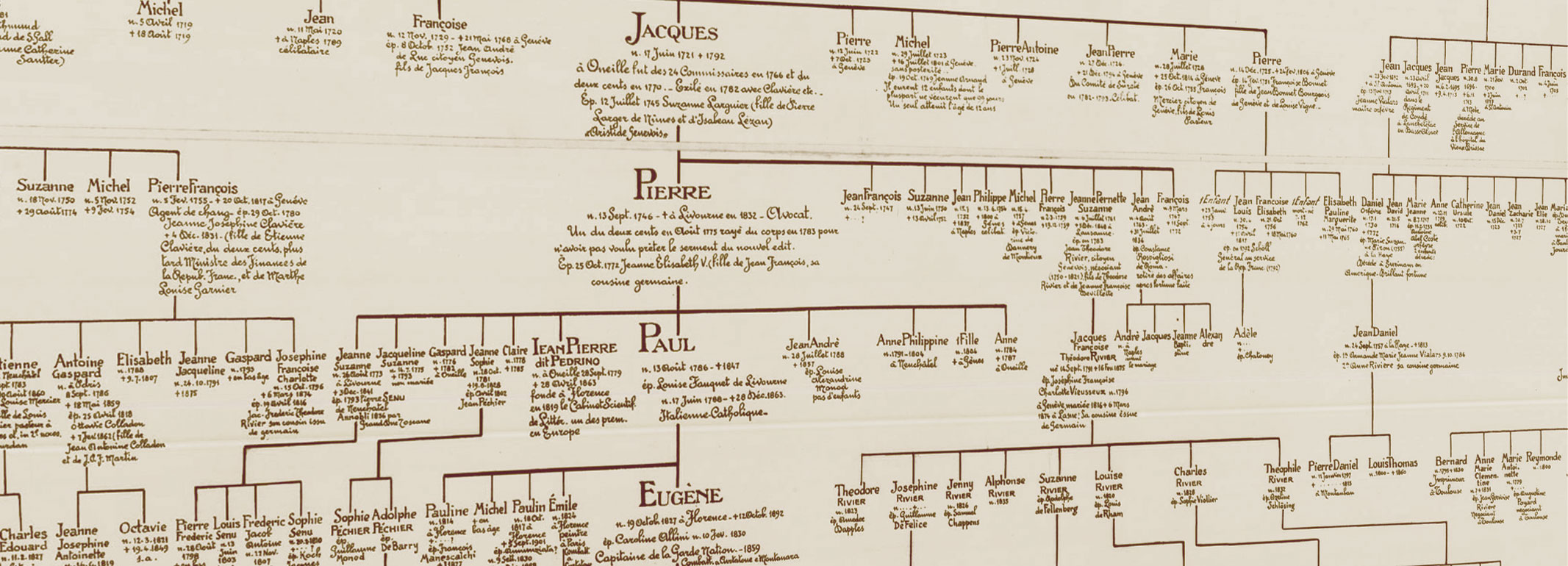 Albero genealogico Vieusseux