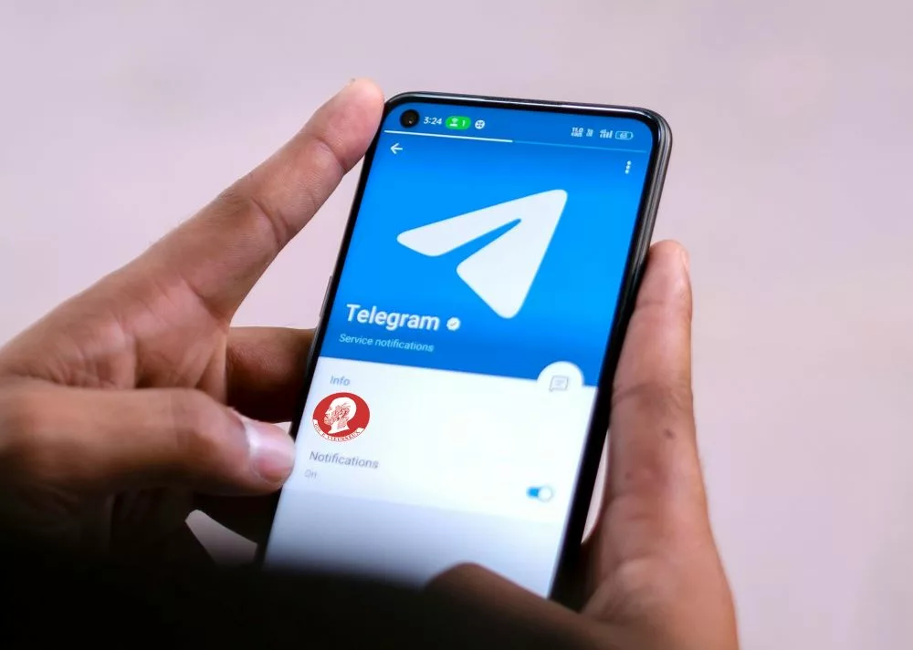 seguici su telegram